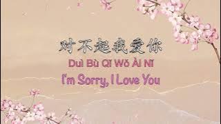 对不起我爱你 I'm Sorry I Love You | Chinese version of Snow Flower - Chinese, Pinyin & English Translation