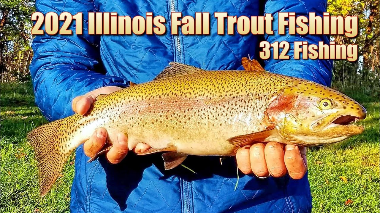 Illinois Fall Trout Opener 2021. Axehead Lake