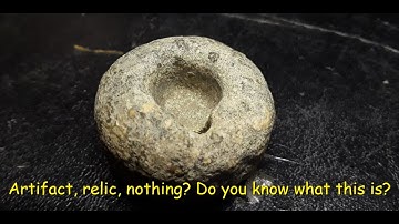 NSR Artifact - Fossils in Texas