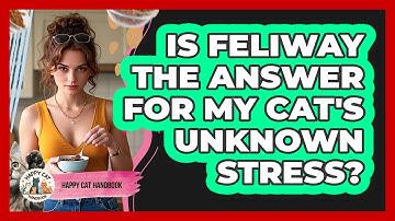 Is Feliway The Answer For My Cat