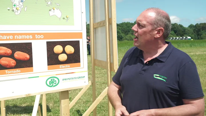 Potato Breeding Programme-Denis Griffin