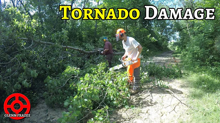 Tornado at the Cabin | Time to Clean Up