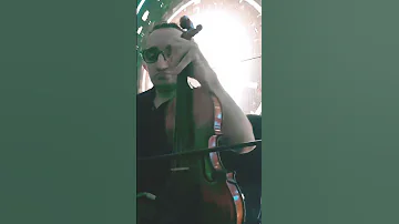 شعبي نايضة شعبي كمنجة Morocco Music Art Live Love Artist Shortscraft Cover Jazz 