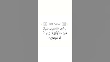 سورة الأنعام ٢