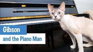 Text Messages from a Cat: Learning the Piano [Original Music]