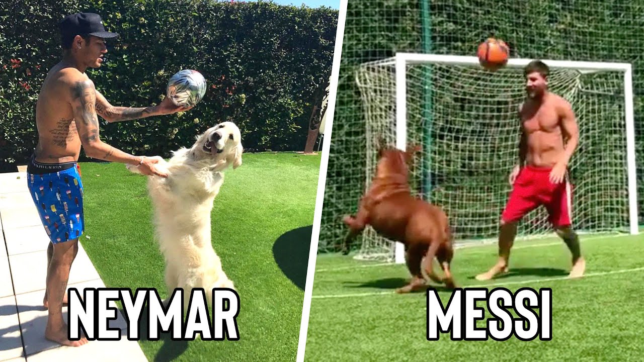 Famous Footballers \U0026 Their Dogs / Pets