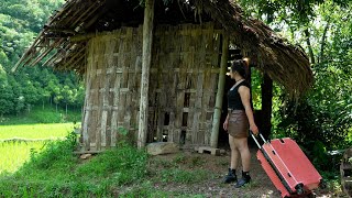 Download Lagu CEO leaves the city for the forest to restore an abandoned old house MP3 Download Lagu CEO leaves the city for the forest to restore an abandoned old house MP3