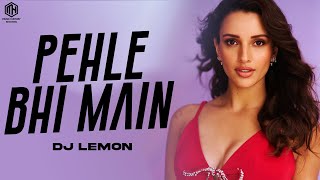 Pehle Bhi Mein (Remix) DJ Lemon | Vishal Mishra | Ranbir Kapoor, Tripti Dimri | Animal