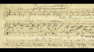 Brahms's Rain Songs (documentary)