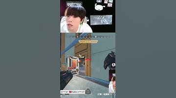 尾刀王~www | #gotozgo，类别：#Twitch