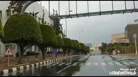 فرق الاحبه الفنان أيوب