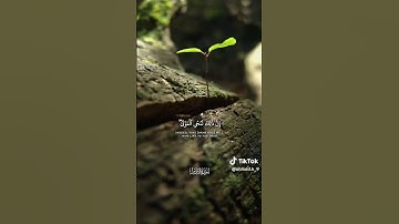 تجويد مؤثر للشيخ عبدالباسط عبدالصمد | سورة الروم - الآية ٥٠ 🤍🎧#عبدالباسط_عبدالصمد #القرآن_الكريم