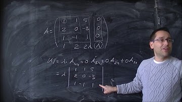 Determinantes. Estudio del rango de una matriz 4x4 dependiendo de un parámetro 001