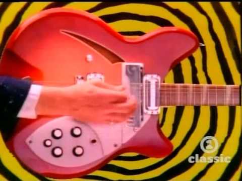 The Turtles - Happy Together (VH1)