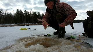 Отвел душу напоследок. Язи порадовали. Закрытие сезона твердой воды.