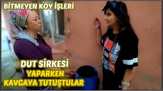 KAVGAYA TUTUŞTULAR ! | KARA DUT ÖZÜ ve KARA DUT SİRKESİ YAPIMI