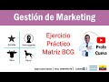 Ejercicio Práctico Matriz BCG Profe Cueva