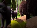 Cat vs bear