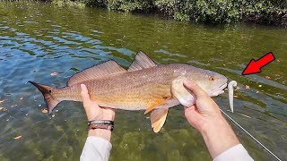 I Caught *THIS* Lurking Under the Mangroves (New PB) | Redfish Fishing | FloridaMan Fishing