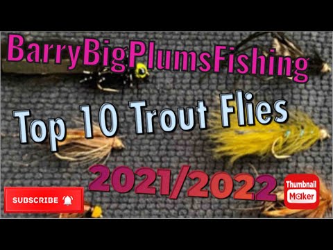BarryBigPlumsFishing Top 10