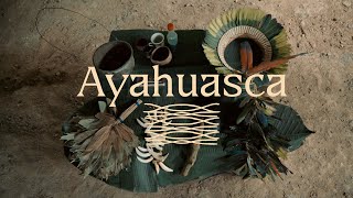 Plantas de poder | Ayahuasca