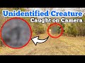 UNIDENTIFYED CREATURE CAUGHT ON CAMERA ... I Bought An Abandoned Ranch