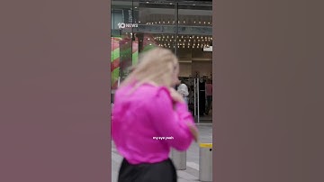 Kiwi Reporter Hit In The Face By Seagull | 10 News