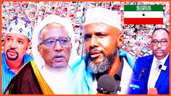 Hol mushuk ichida sikish