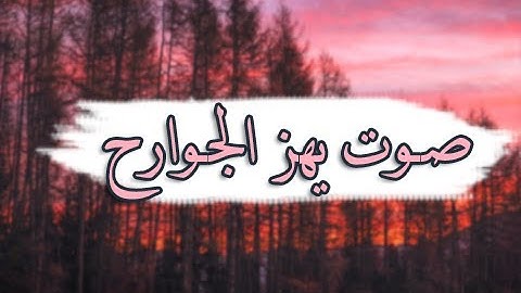 تلاوة بـصوت غاية في الروعة | يهز الجوارح | سورة ق