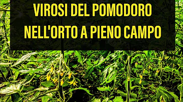 Come si curano le virosi?