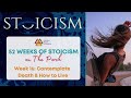 Contemplate Death, and How to Live | 52 Weeks of Stoicism (Week 16)