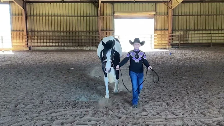 APHA April E Show SMS Allison Goldstein & A Hotrod...