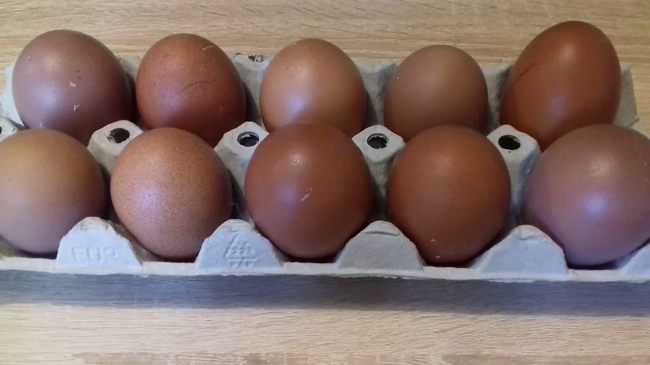 Кокоши яйца от породата Маран.