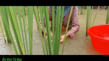 Bữa cơm đạm bạc#của hai mẹ con sau một ngày làm việc# ATCM