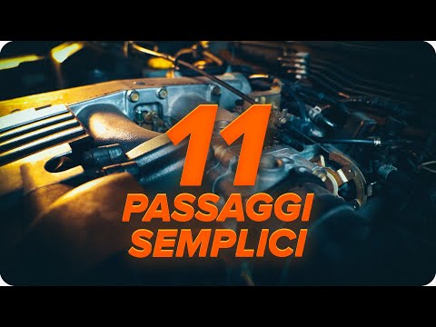 Video: Posso usare il detergente per carboidrati per pulire il corpo farfallato?