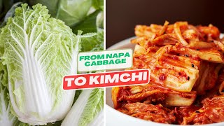 EP10. 從大白菜到泡菜完美發酵的分步指南/From Chinese Cabbage to Kimchi: A StepbyStep Guide to Perfect Fermentation