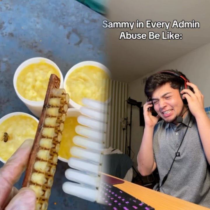 Sammy in Every Admin Abuse Be Like