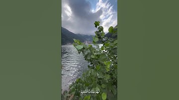 تلاوة هادئة - شريف مصطفى