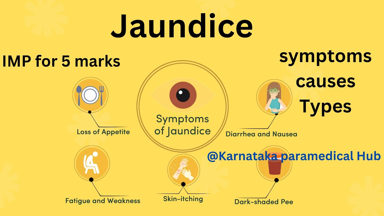 Jaundice detailed explanation in Kannadacauses, symptoms,types