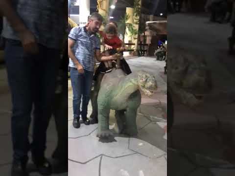 رفد و نمنم والداينصور