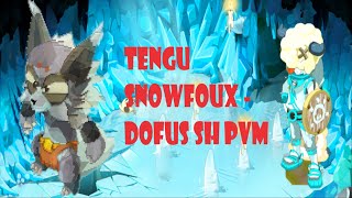 DOFUS SH PvM #1: Tengu Snowfoux (Heroic Server) Thanatena