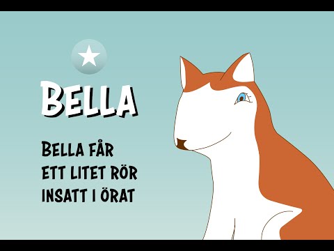 Video: Varför rullar min hund över för att visa mig hans mage?