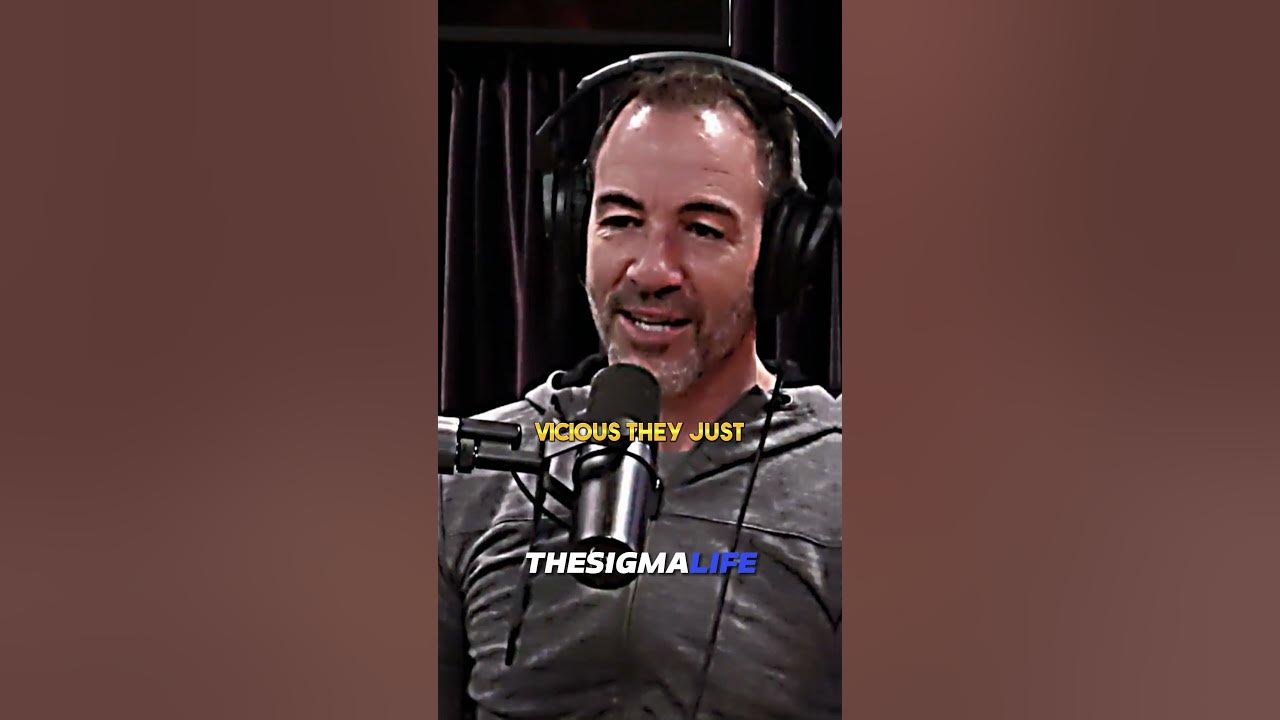 Similarities between HUMANS and CHIMPANZEES - Joe Rogan - YouTube