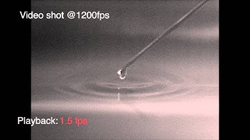 High speed video of drop coalescence (needle)