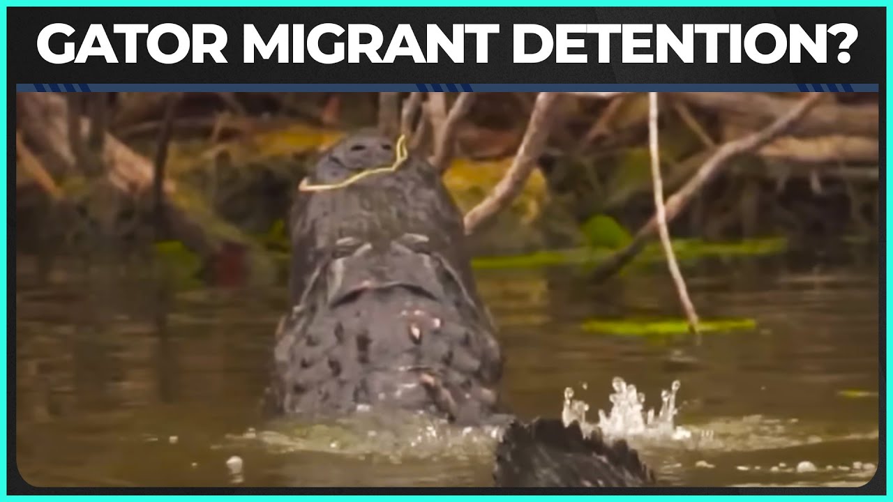 'Alligator Alcatraz' Proposed To Detain Immigrants In The Everglades