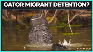 'Alligator Alcatraz' Proposed To Detain Immigrants In The Everglades