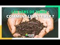 Comment attirer les vers de terre dans son jardin   samedi  tout prix