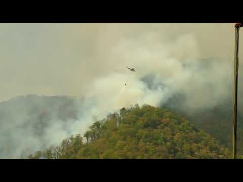 გიორგი მღებრიშვილმა ხანძრის კერების ქრობის პროცესის შესახებ ინფორმაცია მიიღო