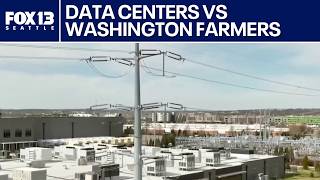 How data centers are impacting Washington state agriculture | FOX 13 Seattle