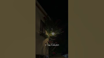 من آيات القرآن العضيم#اجمل صباح #تلاوة_خاشعة #من سورة الكهف #القارئ ماهر المعيقلي #جمعة مباركة#
